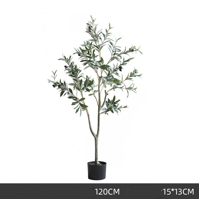 Árbol de olivo decorativo premium