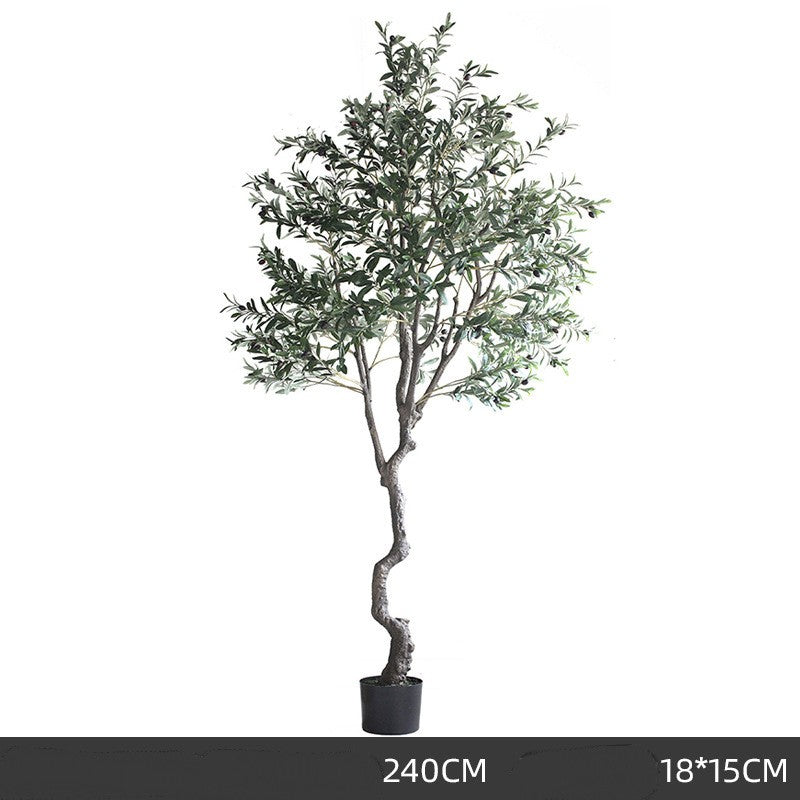 Árbol de olivo decorativo premium