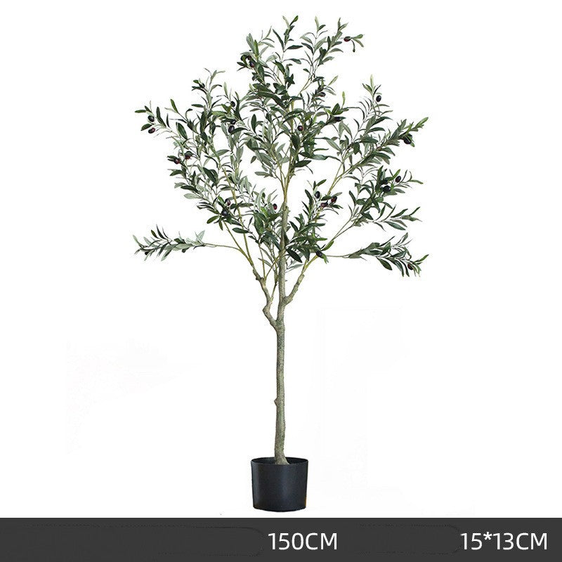 Árbol de olivo decorativo premium