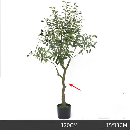 Árbol de olivo decorativo premium