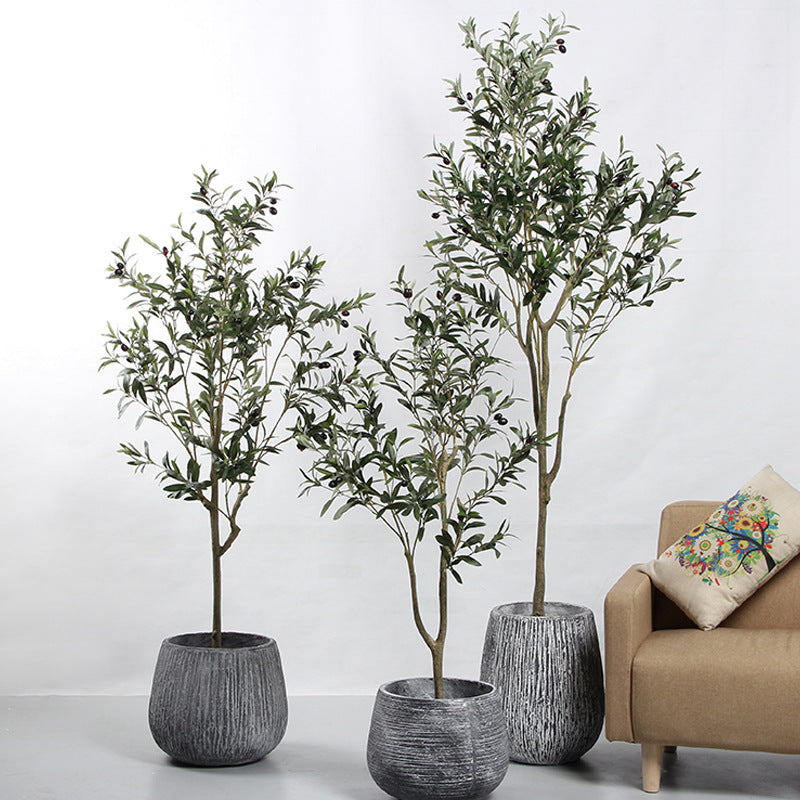 Árbol de olivo decorativo premium