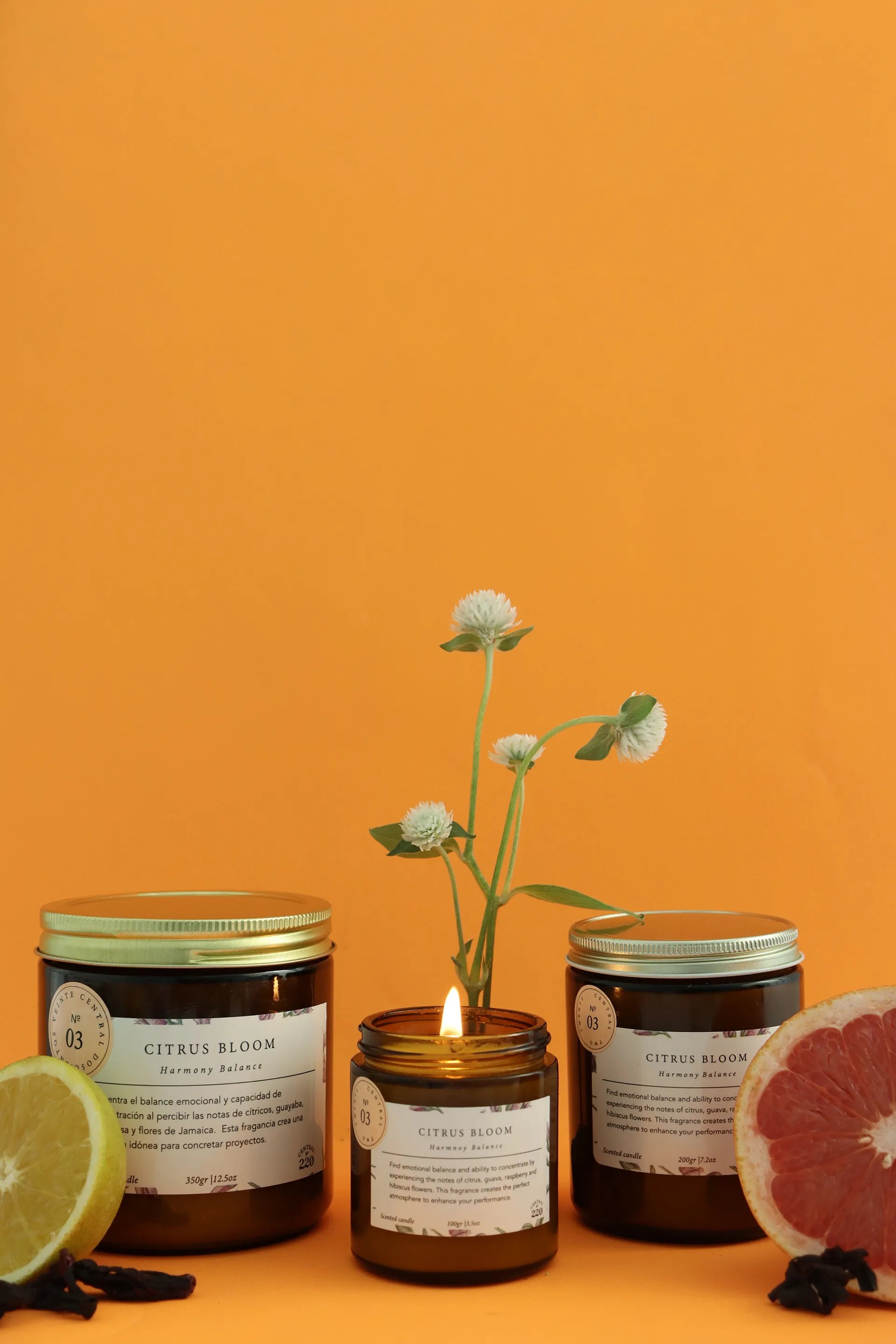 Velas Aromáticas CENTRAL 220