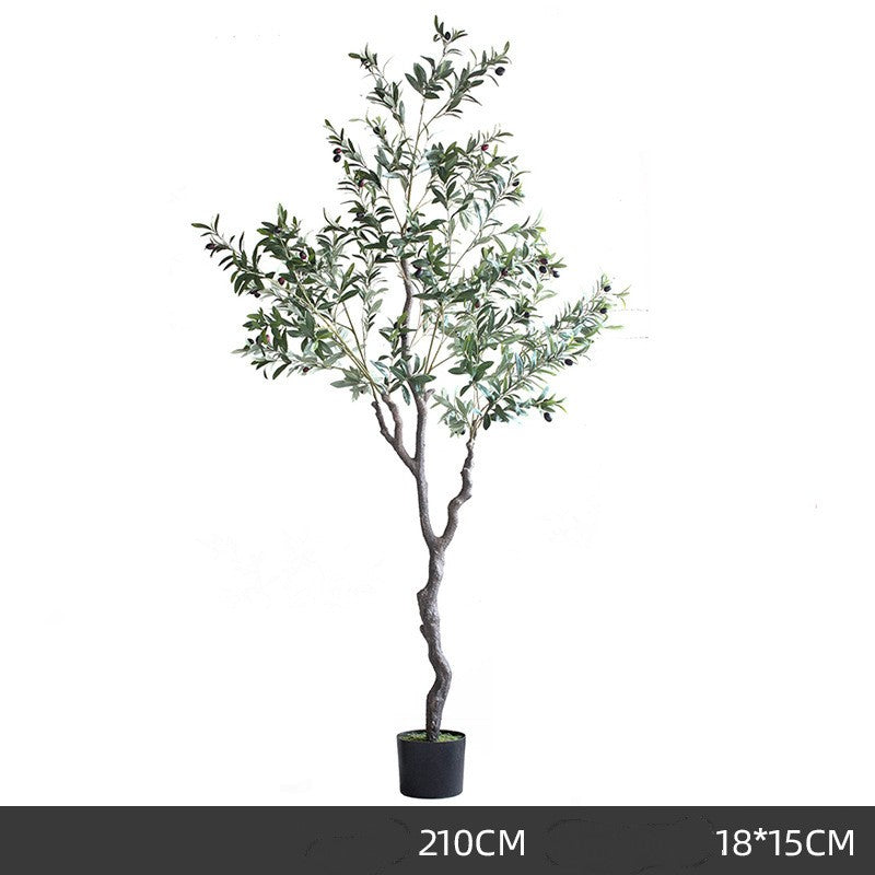 Árbol de olivo decorativo premium