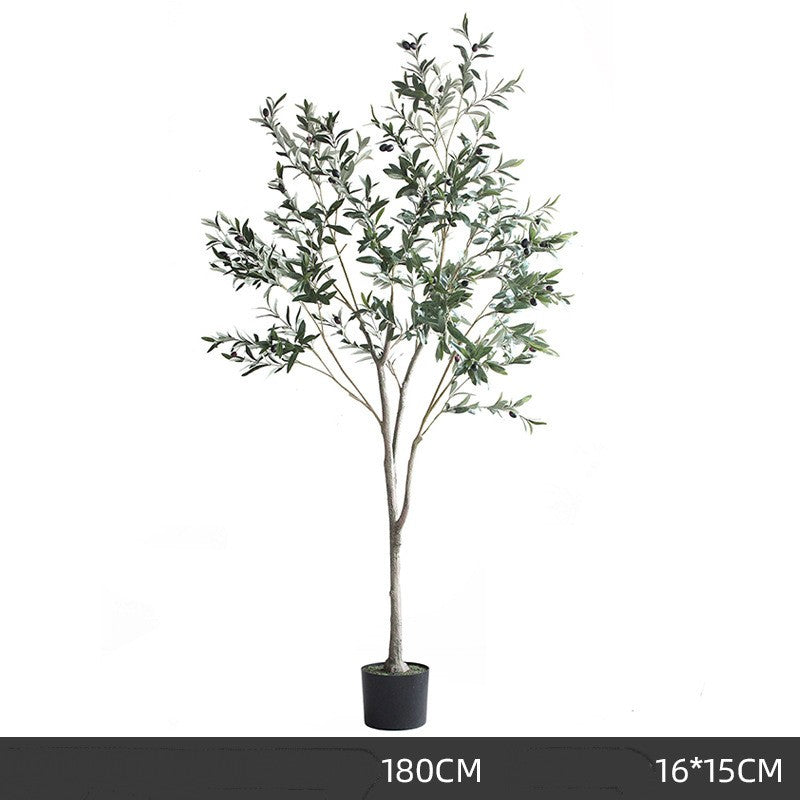 Árbol de olivo decorativo premium